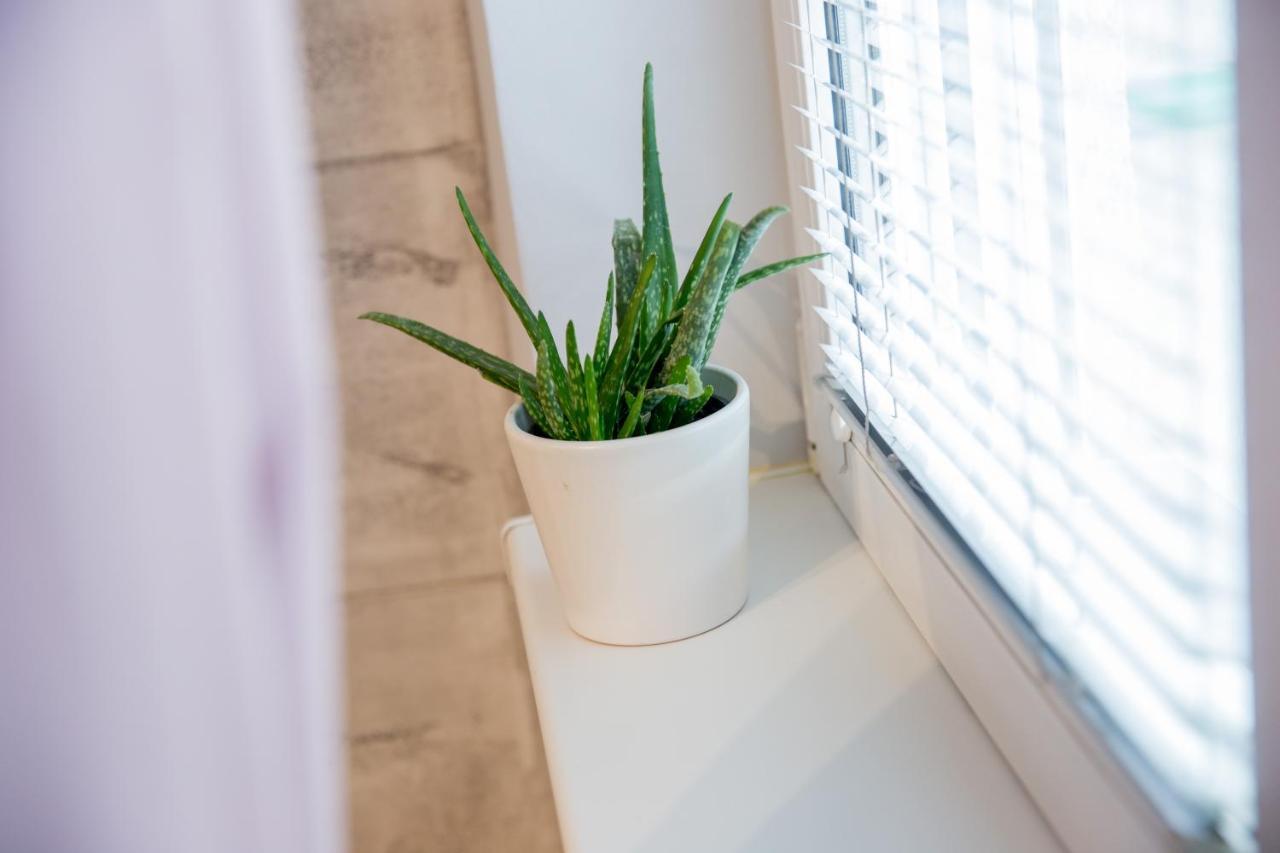 Apartment Studio Milena Subotica Dış mekan fotoğraf